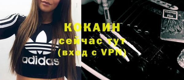 spice Новозыбков