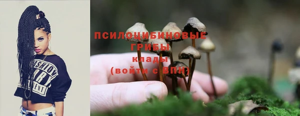 скорость Новодвинск
