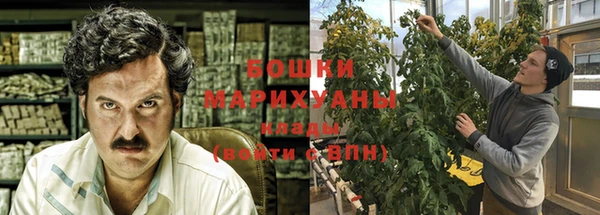 spice Новозыбков