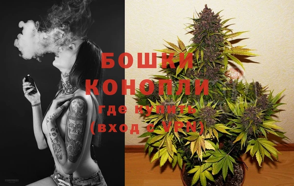 PSILOCYBIN Новокубанск