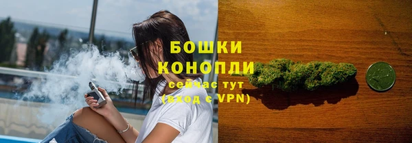 spice Новозыбков