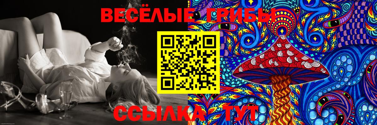 Псилоцибиновые грибы Psilocybine cubensis  Псилоцибиновые грибы Cubensis  Вход с VPN  Тосно 