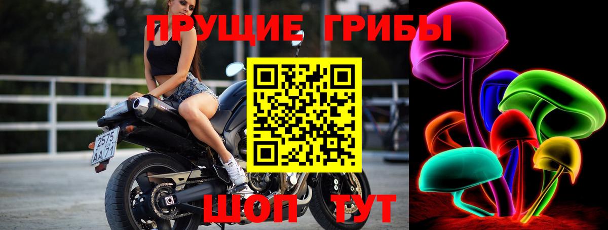 Псилоцибиновые грибы GOLDEN TEACHER Тосно